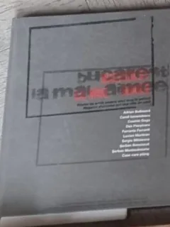 Adrian Bulboaca - Bucarest, La Mal Aimee. Privire de Artist Asupra unui Oras in Pericol