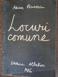 Adrian Paunescu - Locuri comune