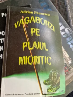 Adrian Paunescu - Vagabonzi pe plaiul mioritic