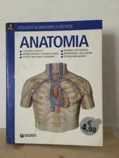Adriana Rigutti - Anatomia