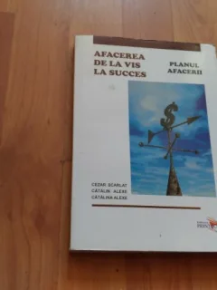 AFACEREA DE LA VIS LA SUCCES-PLANUL AFACERII- CEZAR SCARLAT SI ALTII.