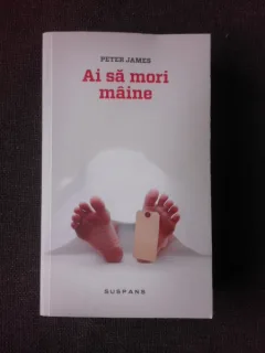 AI SA MORI MAINE - PETER JAMES
