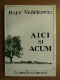 AICI SI ACUM - BUJOR NEDELCOVICI