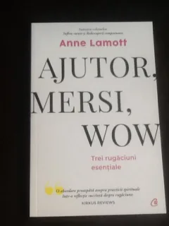 Ajutor, Mersi, Wow - Anne Lamott