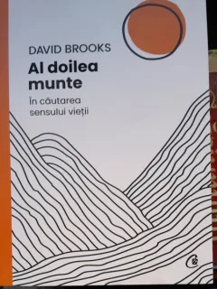 Al doilea munte. In cautarea sensului vietii - David Brooks