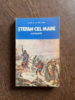 Al. Gh. Savu - Stefan cel Mare, campanii