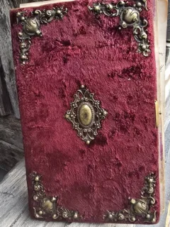 Album de amintiri din 1893, Germania