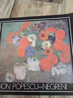 ALBUM PICTURA - DESEN - ION POPESCU NEGRENI