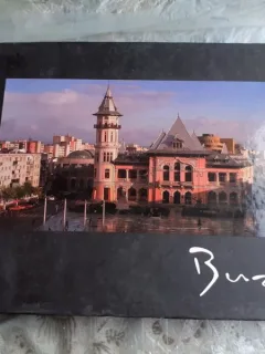 ALBUMUL MUNICIPIULUI BUZAU