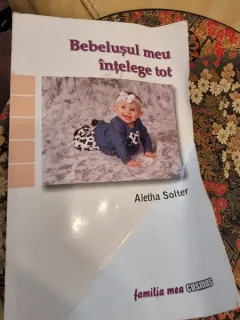 Aletha Solter - Bebelusul meu intelege tot
