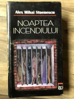 Alex Mihai Stoenescu - Noaptea incendiului