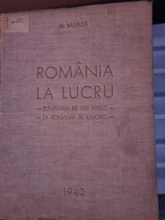 Alexandru Badauta - Romania la lucru