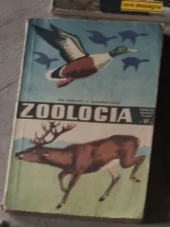Alexandru Dabija, Emil Sanievici - Zoologia. Manual Pentru Clasa a VI-a