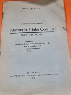 ALEXANDRU MATEI COTRUTA, SCURTA SCHITA BIOGRAFICA - IOAN PELIVAN