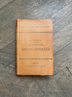 Alfred Gallier Le cheval anglo-normand (1900)