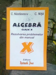 ALGEBRA CLASA X. REZOLVAREA PROBLEMELOR DIN MANUAL - C. NASTASESCU