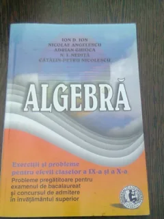 ALGEBRA. EXERCITII SI PROBLEME PENTRU ELEVII CLASELOR A IX-A SI A X-A - ION D. ION
