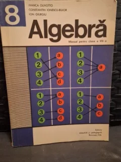 Algebra manual pentru clasa a VIII-a - Ivanca Olivotto , Constantin Ionescu-Bujor , Ion Giurgiu