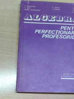 ALGEBRA PENTRU PERFECTIONAREA PROFESORILOR-M.BECHEANU -C.NITA SI ALTII
