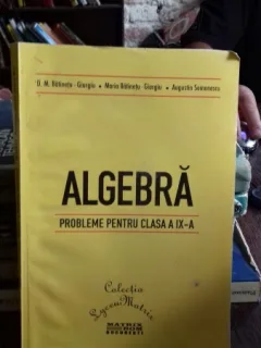 ALGEBRA. PROBLEME PENTRU CLASA A IX-A - D.M. BATINETU