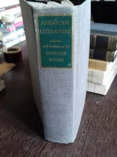 AMERICAN LITERATURE- GEOFFREY MOORE  (LITERATURA AMERICANA)