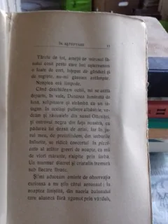 AMINTIRI DIN LUPTELE DE LA TURTUCAIA - G. TOPIRCEANU
