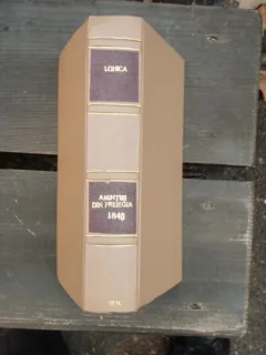 AMINTIRI DIN PRIBEGIA DUPA 1848 - ION GHICA VOL.I
