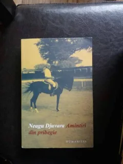 Amintiri din pribegie - Neagu Djuvara