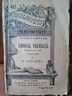 Amorul veghiaza - D. Anghel