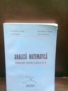 ANALIZA MATEMATICA PROBLEME PENTRU CLASA A XI-A - D.M. BATINETU GIURGIU
