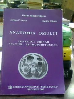 ANATOMIA OMULUI APARATUL URINAR SPATIUL RETROPEROTONEAL