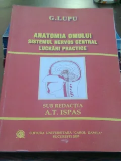 Anatomia omului. Sistemul nervos central - G. Lupu