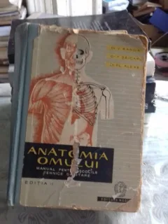 ANATOMIA OMULUI - V. RANGA