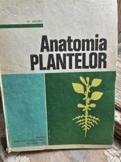 Anatomia plantelor - M. Andrei