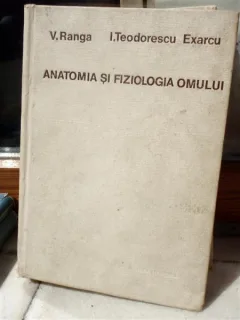 ANATOMIA SI FIZIOLOGIA OMULUI , V RANGA
