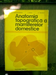 Anatomia topografica a mamiferelor domestice - Gh. M. Constantinescu, C. Radu, R. Palicica