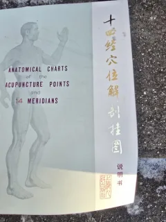 Anatomical charts of the acupuncture points and 14 meridians