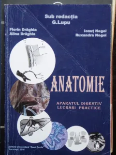 ANATOMIE APARATUL DIGESTIV - G.LUPU