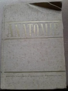 ANATOMIE - E.REPCIUC  (angiologia, glandele endocrine, sistemul nervos si organele de simt)