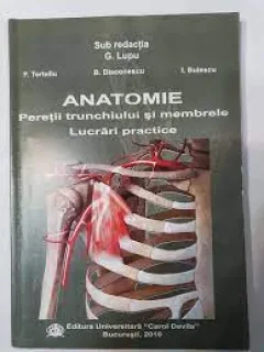 Anatomie. Peretii trunchiului si membrele, lucrari practice - G. Lupu