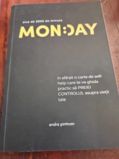 Andra Pintican - Monday