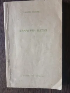 Andrei Pandrea - Hoinar prin Bucegi