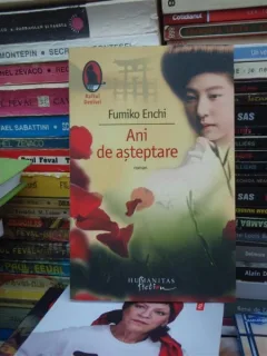 ANI DE ASTEPTARE , FUMIKO ENCHI