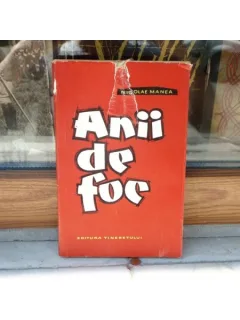 Anii de foc , Nicolae Manea