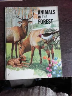 ANIMAL IN THE FOREST, CARTE PENTRU COPII, INLIMBA ENGLEZA