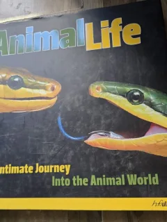 Animal Life. An intimate Journey Into the Animal World - H.F. Ullmann