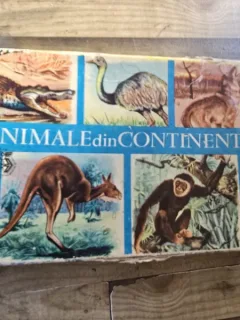 Animale din continente - I. Nicolau joc de colectie vintage, 1967
