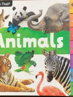 Animals (Animale -carte cartonata in engleza)