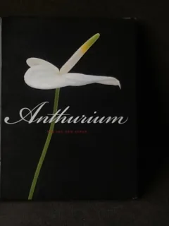 Anthurium
