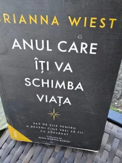 Anul care iti va schimba viata - Brianna Wiest